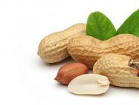 Сколько калорий в арахисе и почему он помогает избавиться от лишних килограммов