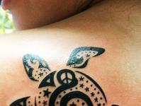 Маори татуировка — значение узоров Татуировка морская черепаха
