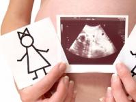От кого и от чего зависит пол будущего ребенка при зачатии: от случайности, мужчины или женщины?